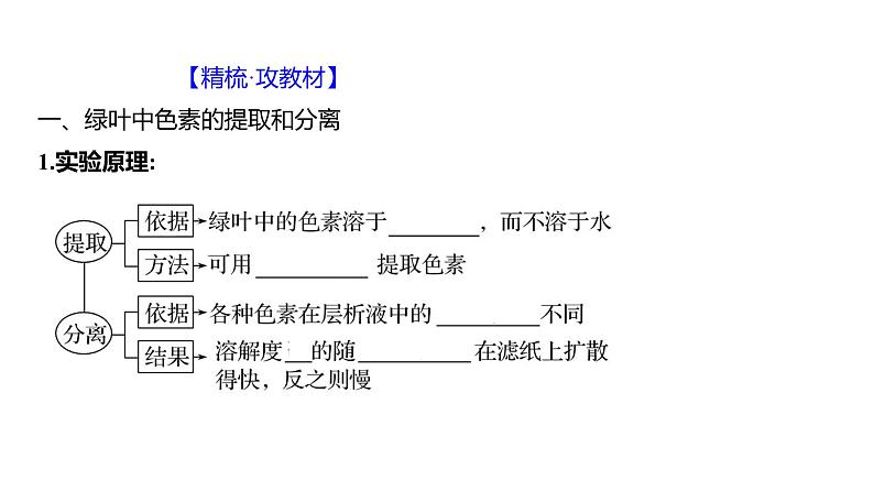 2025届高考 一轮复习 人教版 捕获光能的色素和结构、光合作用的原理 课件(多选版)04