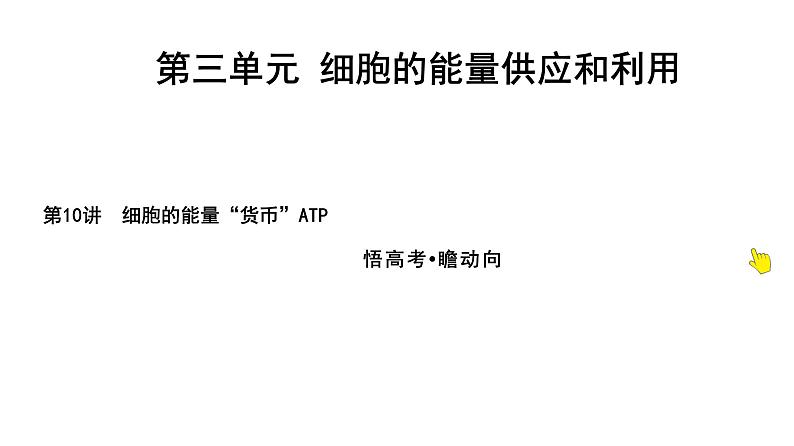 2025届高考 一轮复习 人教版 细胞的能量“货币”ATP 课件(多选版)01