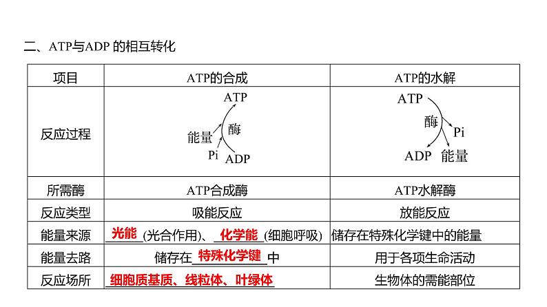 2025届高考 一轮复习 人教版 细胞的能量“货币”ATP 课件(多选版)06