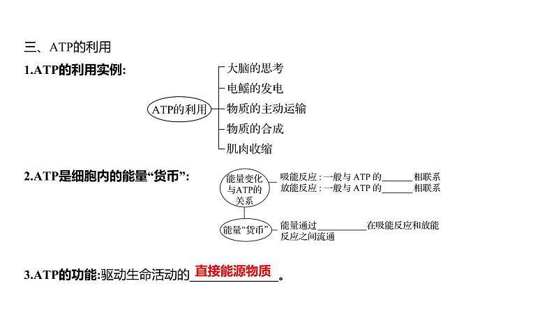 2025届高考 一轮复习 人教版 细胞的能量“货币”ATP 课件(多选版)07