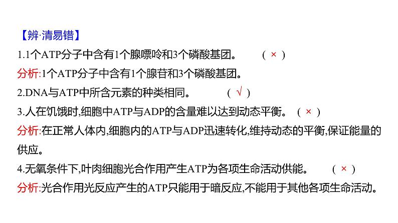 2025届高考 一轮复习 人教版 细胞的能量“货币”ATP 课件(多选版)08