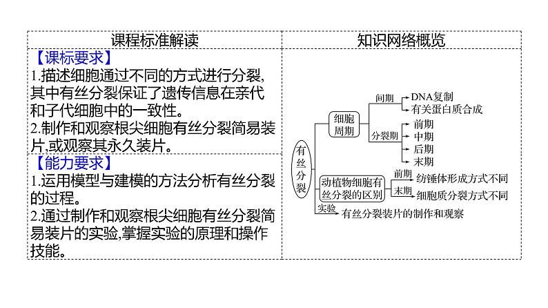 2025届高考 一轮复习 人教版 细胞的增殖 课件(多选版)第2页