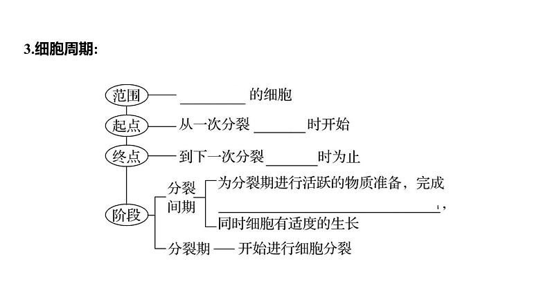 2025届高考 一轮复习 人教版 细胞的增殖 课件(多选版)第6页