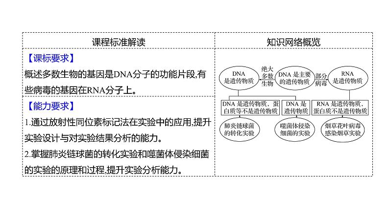 2025届高考 一轮复习 人教版 DNA是主要的遗传物质 课件(多选版)第2页