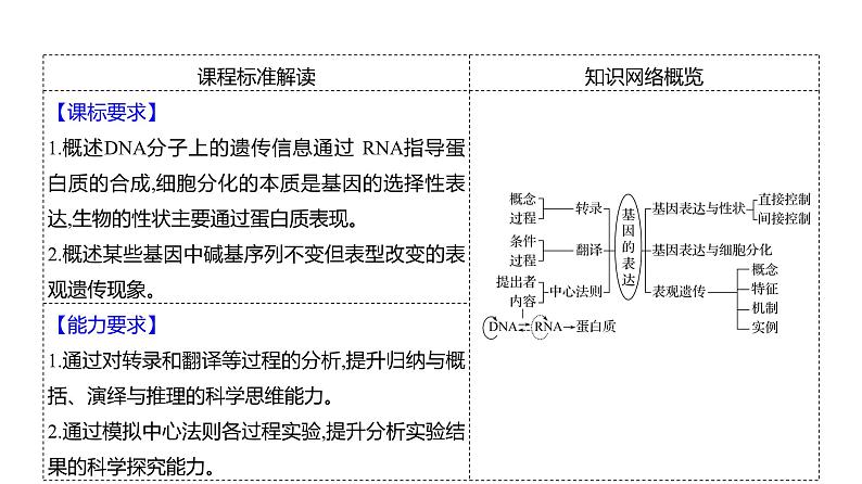 2025届高考 一轮复习 人教版 基因的表达 课件(多选版) (1)第2页