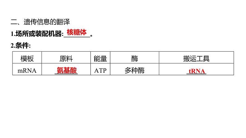 2025届高考 一轮复习 人教版 基因的表达 课件(多选版) (1)第8页