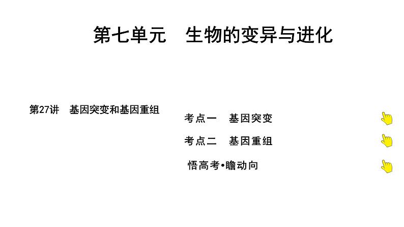 2025届高考 一轮复习 人教版 基因的表达 课件(多选版) (2)第1页