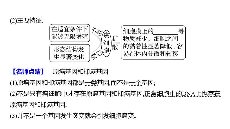 2025届高考 一轮复习 人教版 基因的表达 课件(多选版) (2)第6页