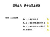 2025届高考 一轮复习 人教版 基因分离定律 课件(多选版)