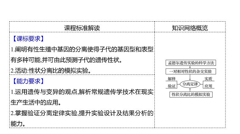 2025届高考 一轮复习 人教版 基因分离定律 课件(多选版)第2页