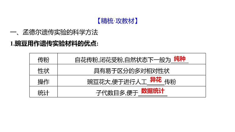 2025届高考 一轮复习 人教版 基因分离定律 课件(多选版)第4页