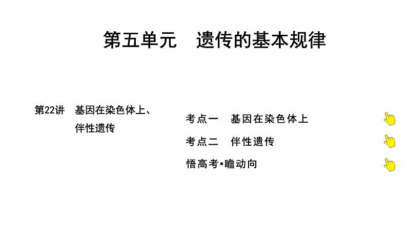 2025届高考 一轮复习 人教版 基因在染色体上、伴性遗传 课件(多选版)第1页