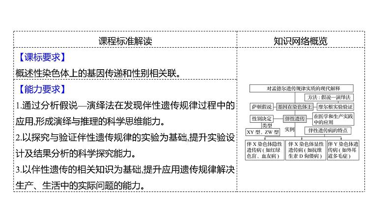 2025届高考 一轮复习 人教版 基因在染色体上、伴性遗传 课件(多选版)第2页