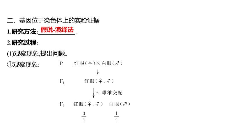 2025届高考 一轮复习 人教版 基因在染色体上、伴性遗传 课件(多选版)第5页