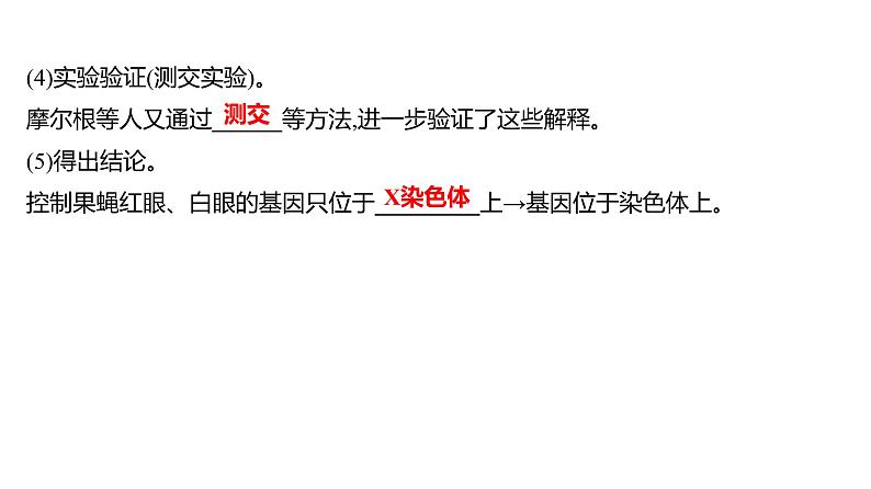 2025届高考 一轮复习 人教版 基因在染色体上、伴性遗传 课件(多选版)第8页