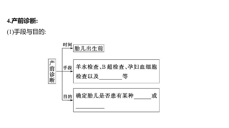 2025届高考 一轮复习 人教版 人类遗传病 课件(多选版)第8页