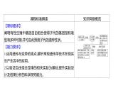 2025届高考 一轮复习 人教版 自由组合定律 课件(多选版)