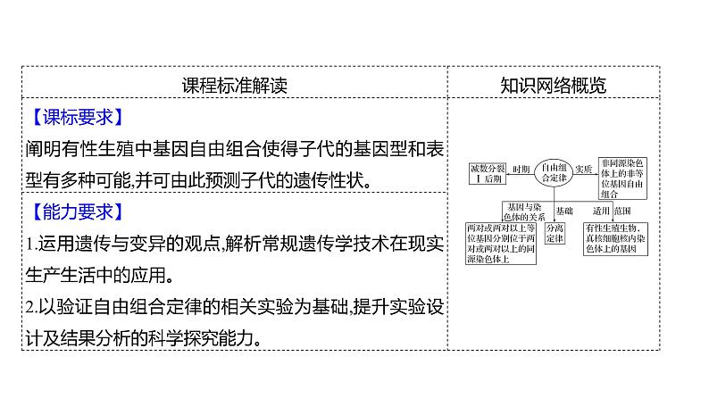 2025届高考 一轮复习 人教版 自由组合定律 课件(多选版)第2页