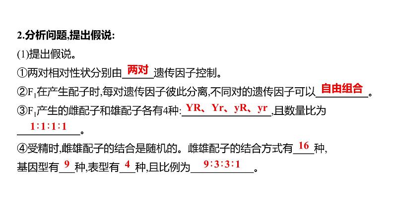 2025届高考 一轮复习 人教版 自由组合定律 课件(多选版)第5页