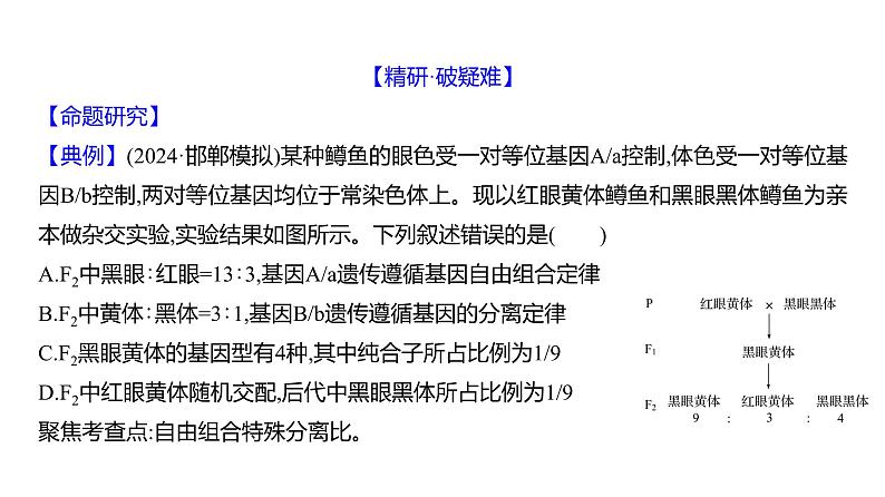 2025届高考 一轮复习 人教版 自由组合定律的遗传特例分析 课件(多选版)第4页