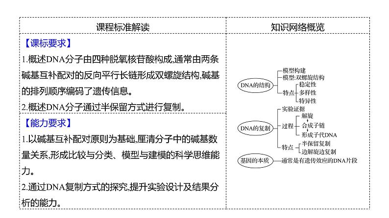 2025届高考 一轮复习 人教版 DNA的结构、复制和基因的本质 课件(多选版)02