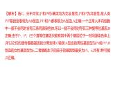 2025届高考 一轮复习 人教版 基因分离定律的遗传特例分析 课件(多选版)