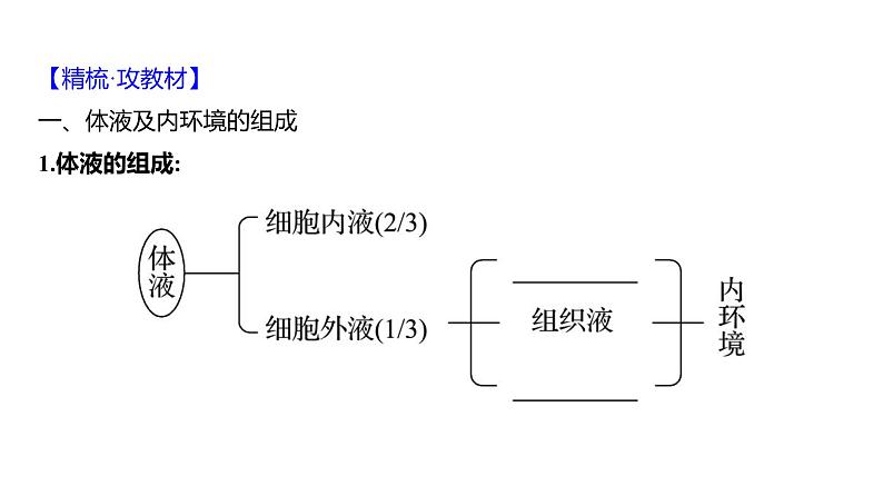 2025届高考 一轮复习 人教版 人体的内环境与稳态 课件(多选版) (1)第4页