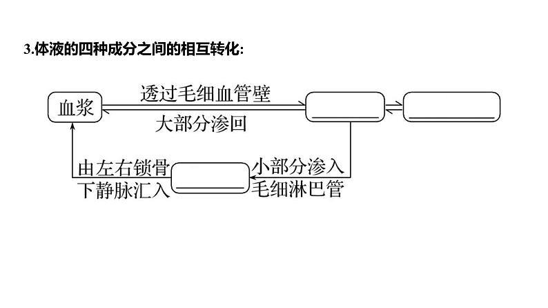 2025届高考 一轮复习 人教版 人体的内环境与稳态 课件(多选版) (1)第7页