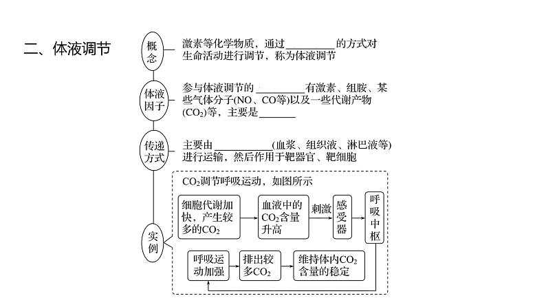 2025届高考 一轮复习 人教版 人体的内环境与稳态 课件(多选版) (2)第5页