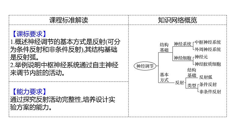 2025届高考 一轮复习 人教版 神经调节的结构基础和基本方式 课件(多选版)第2页