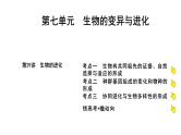 2025届高考 一轮复习 人教版 生物的进化 课件(多选版)
