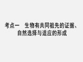 2025届高考 一轮复习 人教版 生物的进化 课件(多选版)