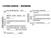 2025届高考 一轮复习 人教版 生物的进化 课件(多选版)