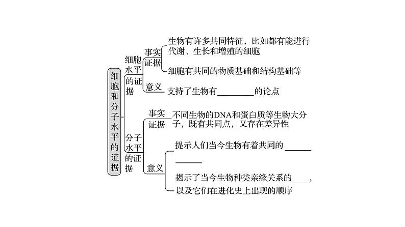 2025届高考 一轮复习 人教版 生物的进化 课件(多选版)第6页