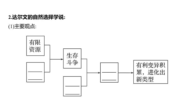 2025届高考 一轮复习 人教版 生物的进化 课件(多选版)第8页