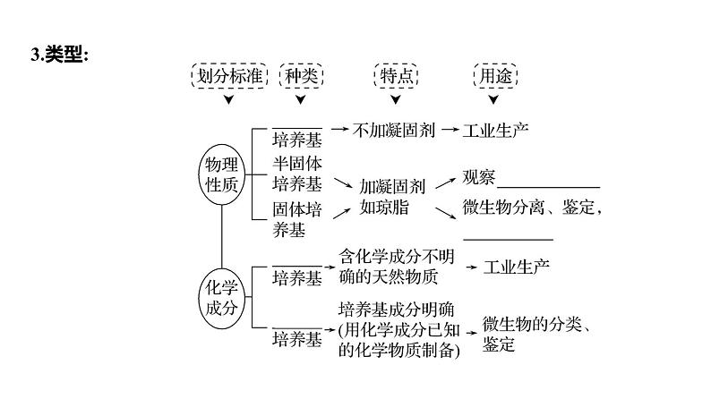 2025届高考 一轮复习 人教版 微生物的培养技术及应用 课件(多选版)第5页