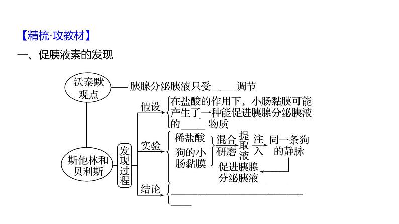 2025届高考 一轮复习 人教版 体液调节 课件(多选版) (1)第4页