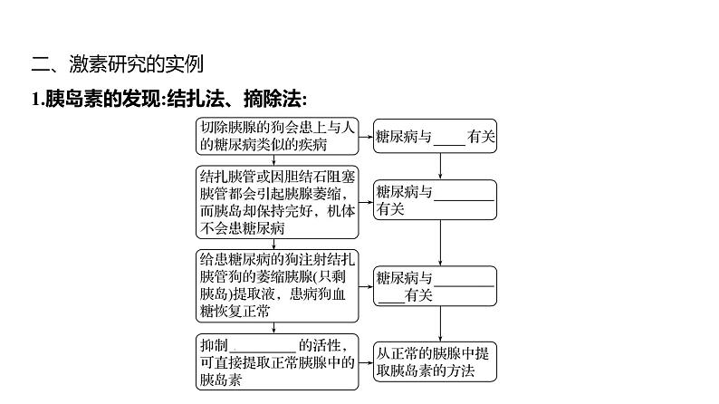 2025届高考 一轮复习 人教版 体液调节 课件(多选版) (1)第5页