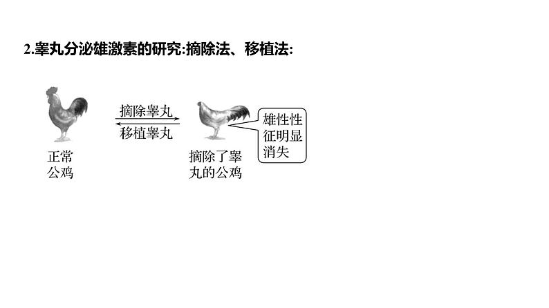 2025届高考 一轮复习 人教版 体液调节 课件(多选版) (1)第6页