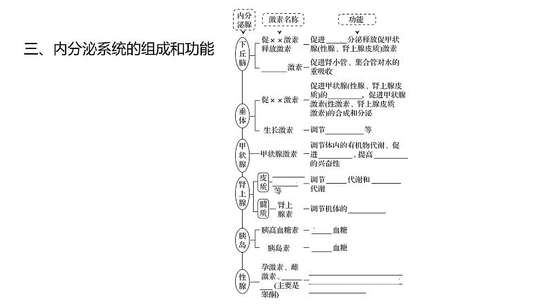 2025届高考 一轮复习 人教版 体液调节 课件(多选版) (1)第7页