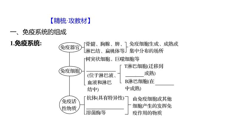 2025届高考 一轮复习 人教版免疫系统的组成和功能、特异性免疫 课件(多选版) (1)04