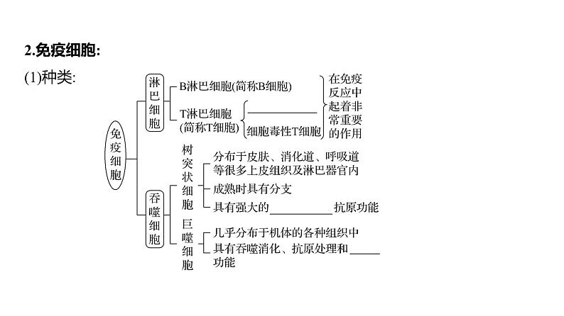 2025届高考 一轮复习 人教版免疫系统的组成和功能、特异性免疫 课件(多选版) (1)05