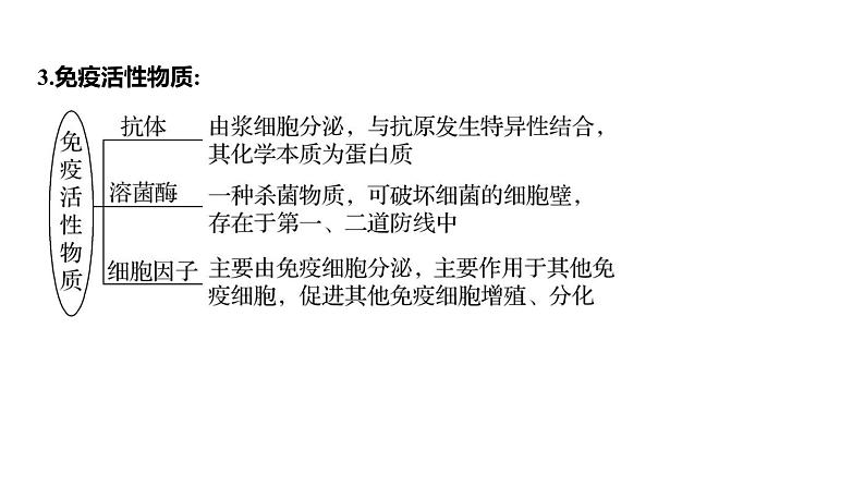 2025届高考 一轮复习 人教版免疫系统的组成和功能、特异性免疫 课件(多选版) (1)07