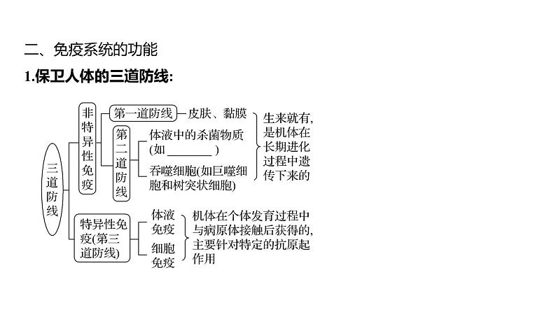 2025届高考 一轮复习 人教版免疫系统的组成和功能、特异性免疫 课件(多选版) (1)08