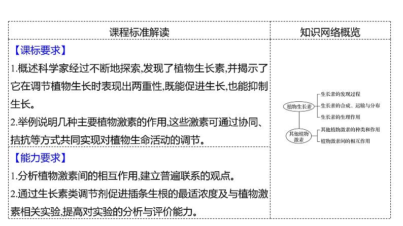 2025届高考 一轮复习 人教版植物激素及其作用 课件(多选版) (1)02