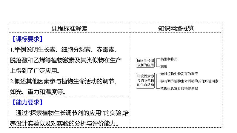 2025届高考 一轮复习 人教版植物激素及其作用 课件(多选版) (2)02