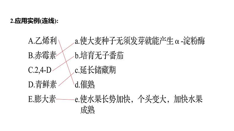 2025届高考 一轮复习 人教版植物激素及其作用 课件(多选版) (2)06