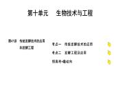 2025届高考 一轮复习 人教版 传统发酵技术的应用和发酵工程 课件(多选版) (1)