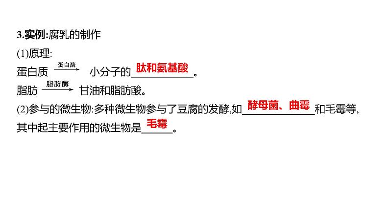 2025届高考 一轮复习 人教版 传统发酵技术的应用和发酵工程 课件(多选版) (1)第6页