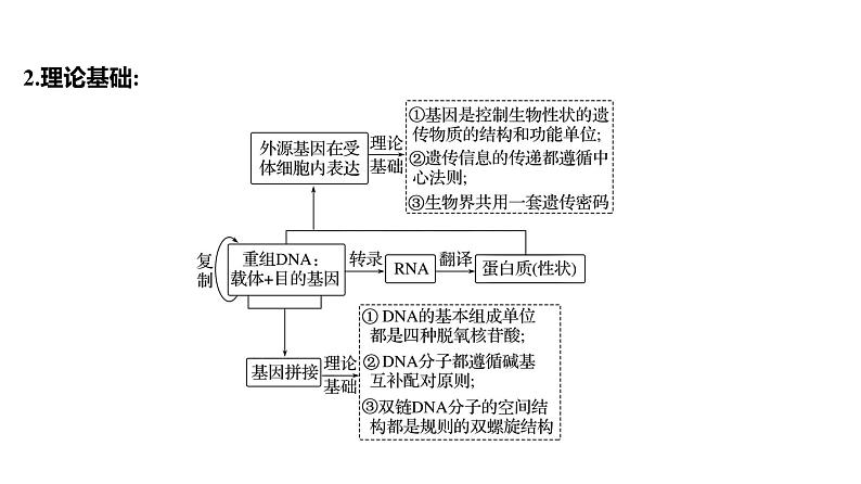 2025届高考 一轮复习 人教版 传统发酵技术的应用和发酵工程 课件(多选版) (2)第5页